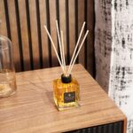 Tal Ofir Levi Photo 12