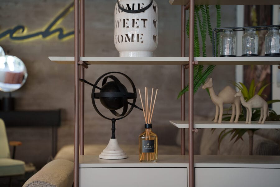 Tal Ofir Levi Photo 12 2