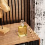 Tal Ofir Levi Photo 13