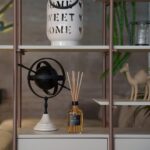 Tal Ofir Levi Photo 3 3