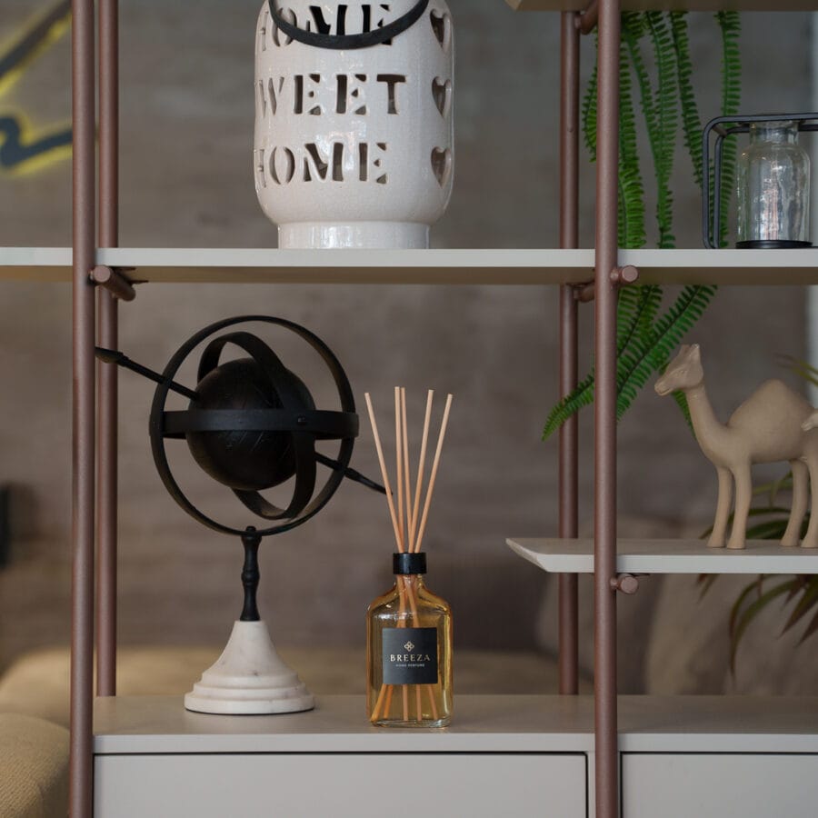 Tal Ofir Levi Photo 3 3