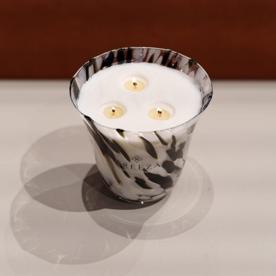 Tal Ofir Levi Photo 7