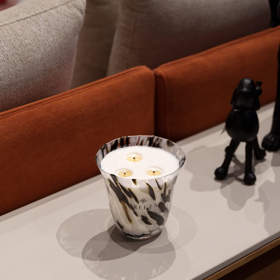 Tal Ofir Levi Photo 8