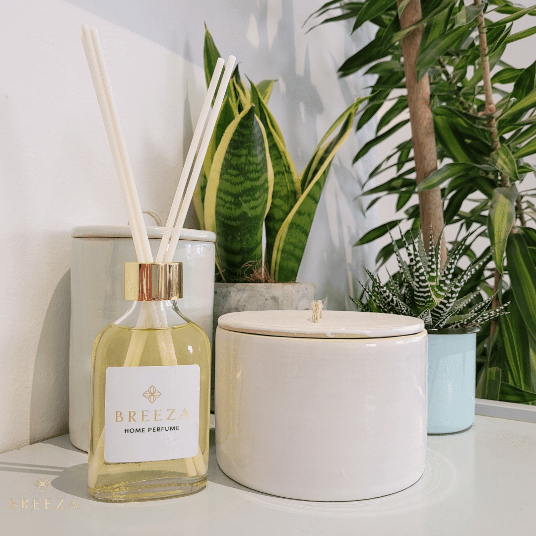 בחירת ריח לעסק כך תמנעו מטעויות