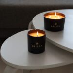 Tal Ofir Levi 1 13 1.jpg