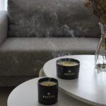 Tal Ofir Levi 1 15 1.jpg