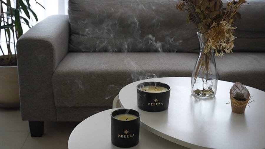 Tal Ofir Levi 1 15 1.jpg