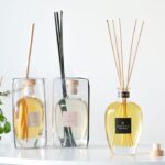 Tal Ofir Levi Photo 2 2