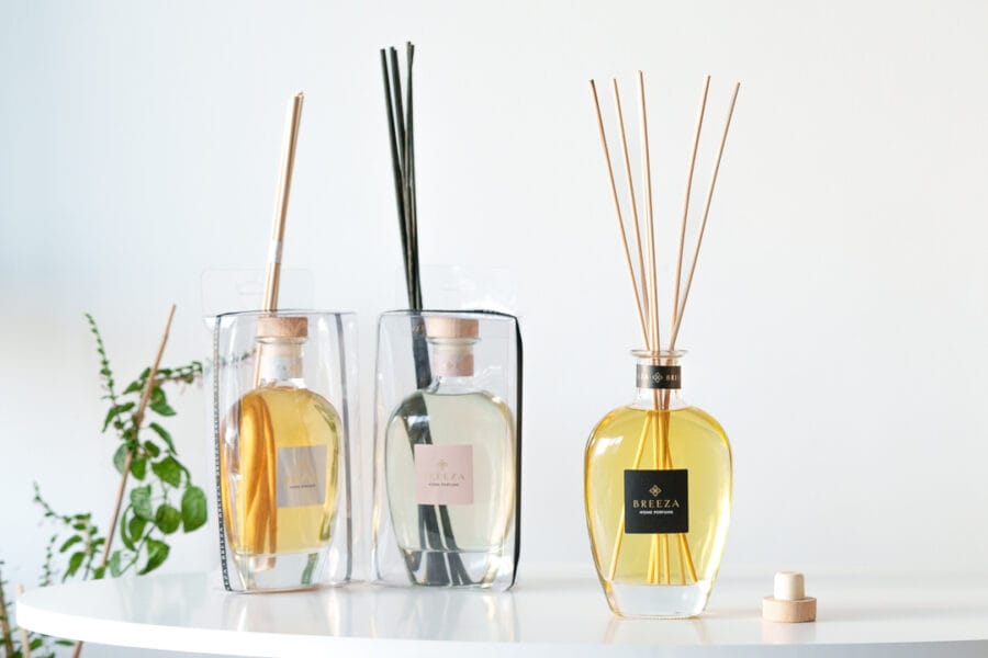 Tal Ofir Levi Photo 2 2