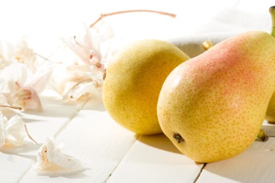 אגס קפוא אגס קפוא