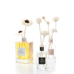 פרחים חדשים 2