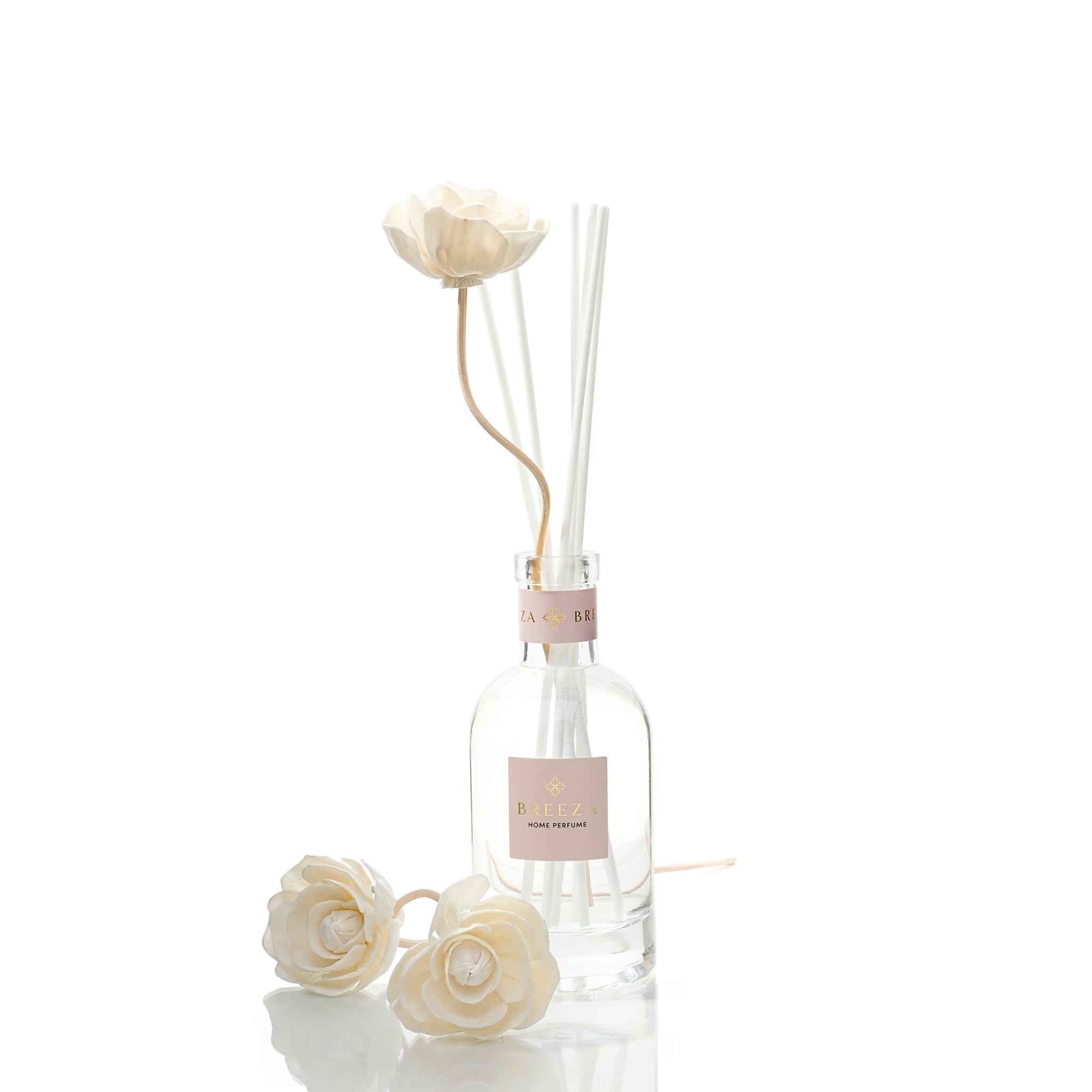 פרחים חדשים 3