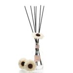 פרחים חמניה