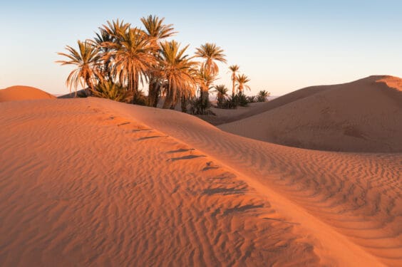 Colorful,sunset,in,the,desert,above,the,oasis,with,palm Colorful,sunset,in,the,desert,above,the,oasis,with,palm