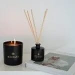 Tal Ofir Levi 1 20 E1731330092444 150x150