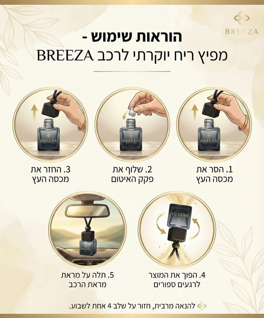 אינפוגרפיקה רכב